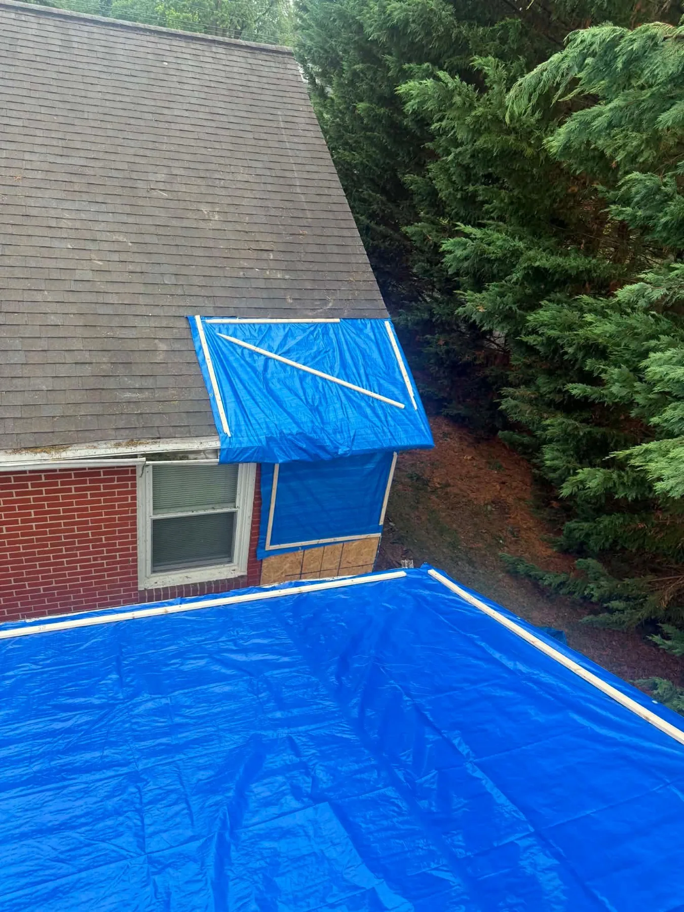 Blue tarps secured over sections of a roof