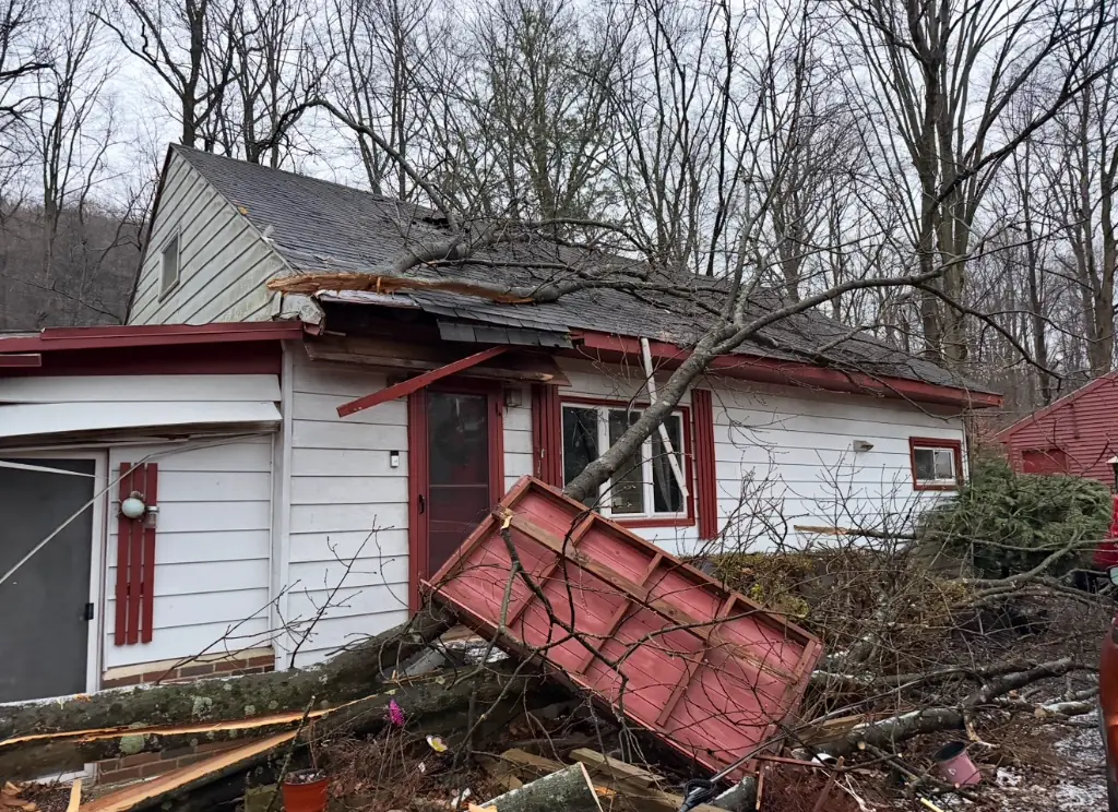 Tree damage at a home after a storm